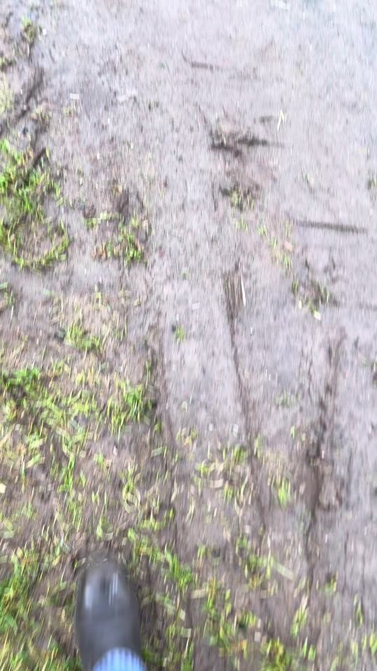 TikTok video thumbnail by kinger_sham7810