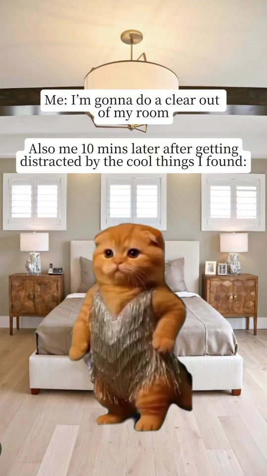 TikTok video thumbnail by e_m_m_a_2024