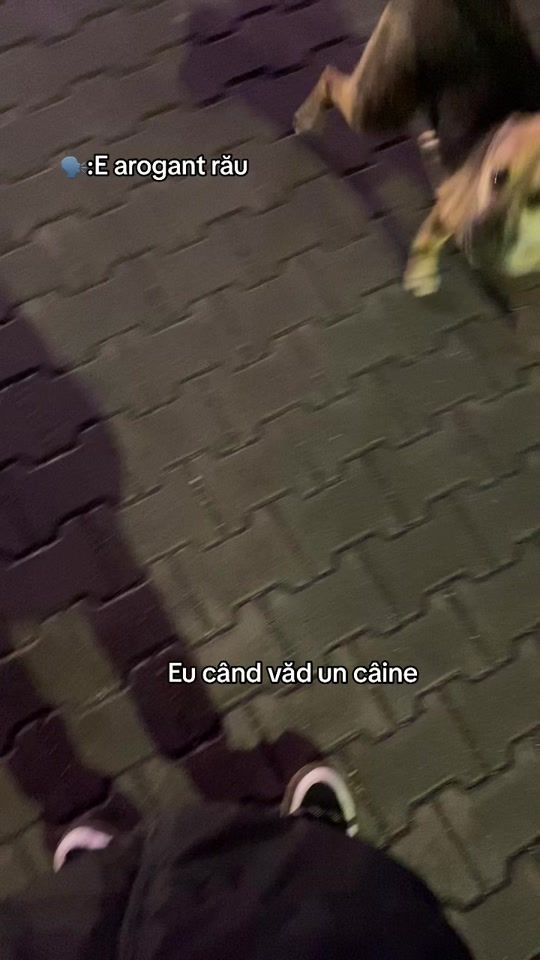 TikTok video thumbnail by ady__.16