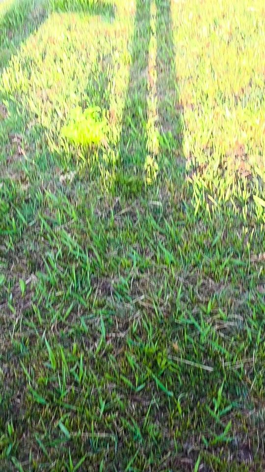 TikTok video thumbnail by marki.hugo