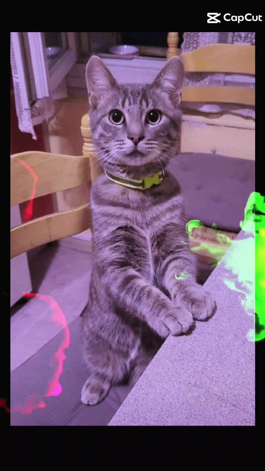 TikTok video thumbnail by alaindede5959