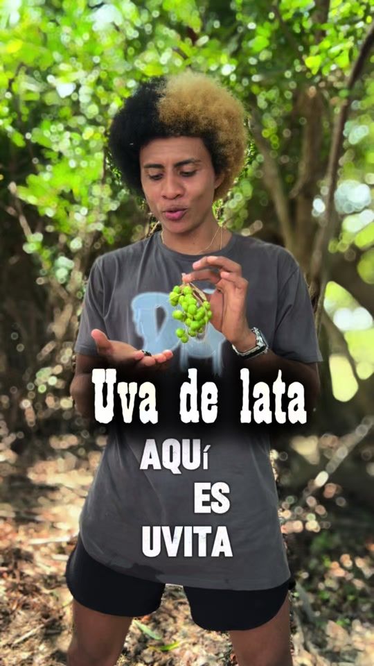 TikTok video thumbnail by juampaytarzan