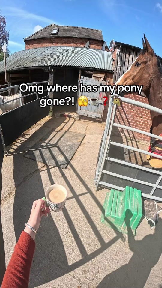 TikTok video thumbnail by lilscliffe