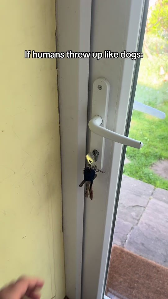 TikTok video thumbnail by bludbrothers