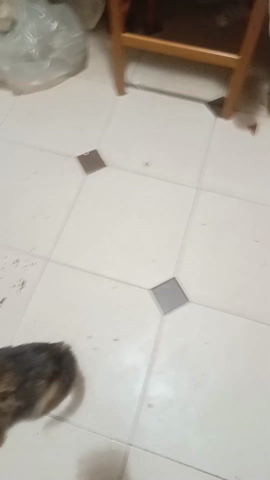 TikTok video thumbnail by its_tiktok18