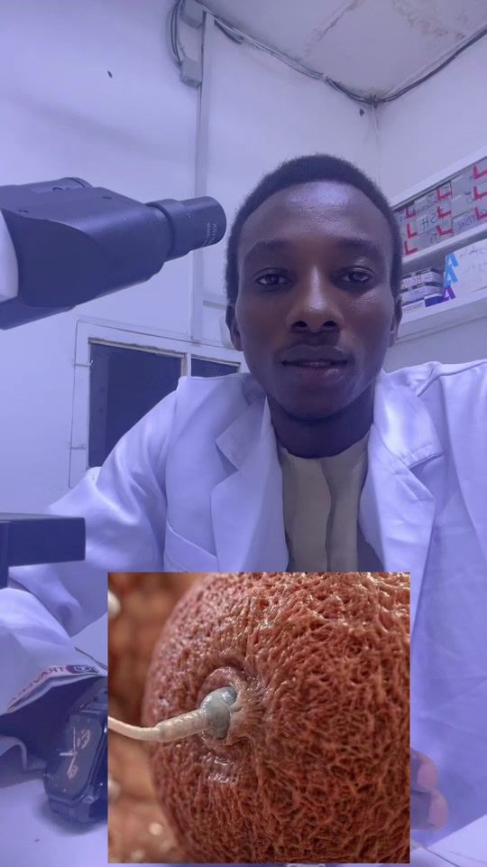 TikTok video thumbnail by abakar.off