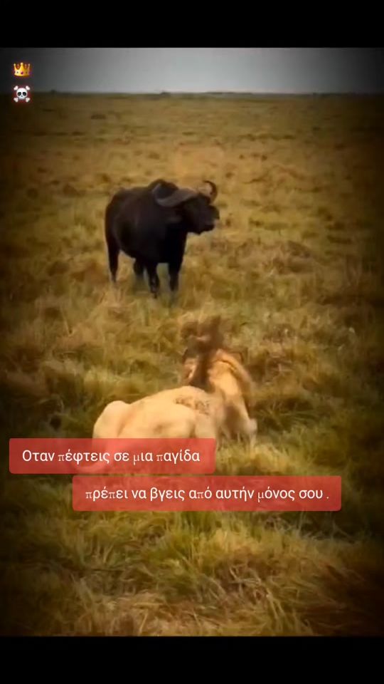 TikTok video thumbnail by _mr.p_1