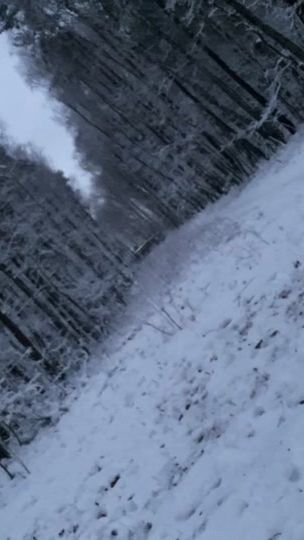 TikTok video thumbnail by tft0r1