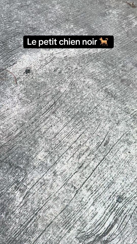 TikTok video thumbnail by smilyjayce