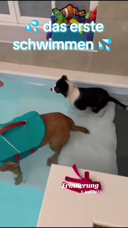 TikTok video thumbnail by schlabbracolli