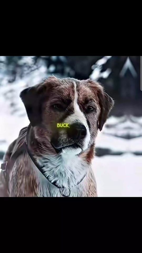TikTok video thumbnail by sebi_6767