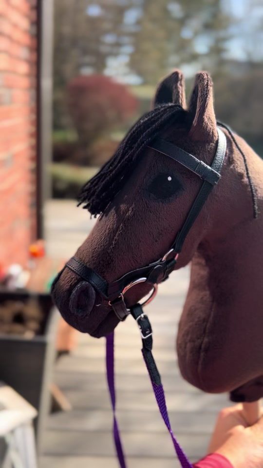 TikTok video thumbnail by hob_horse