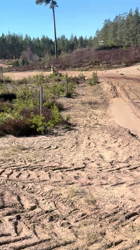 TikTok video thumbnail by emilsen730