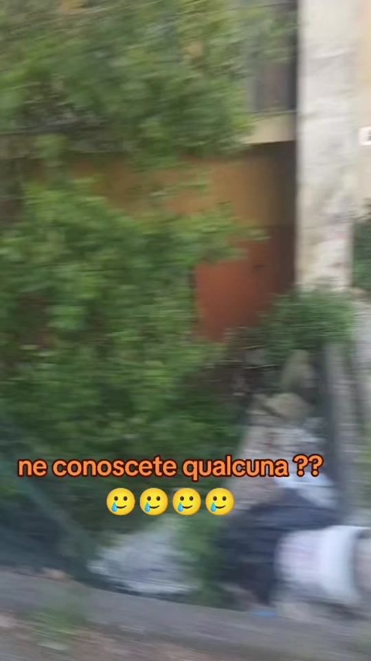 TikTok video thumbnail by crisafulli.mario