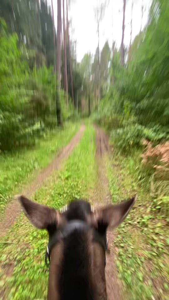 TikTok video thumbnail by eq_antuckaaa