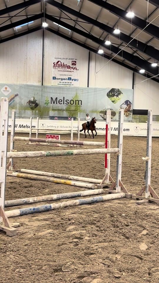 TikTok video thumbnail by hedda.equi