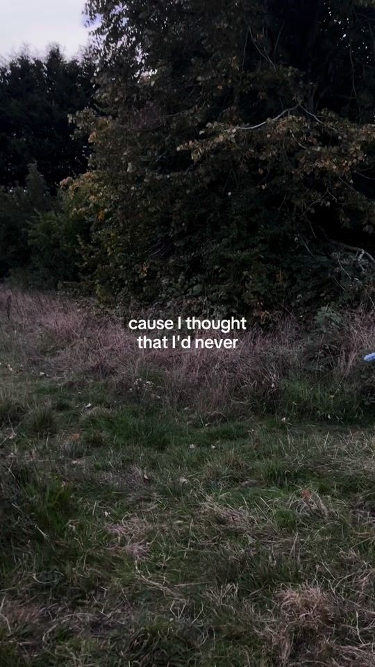 TikTok video thumbnail by mcyt.stan