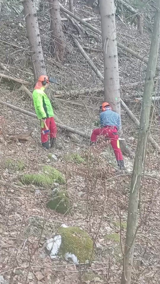 TikTok video thumbnail by jankoliptak