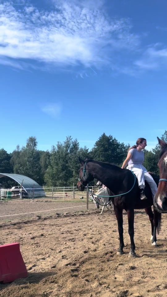 TikTok video thumbnail by ll._equestrian