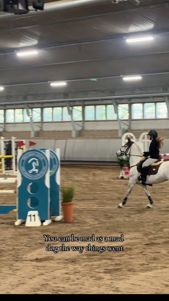 TikTok video thumbnail by lv.showjumping