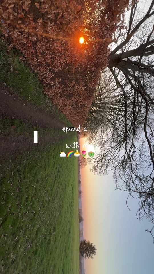 TikTok video thumbnail by libby_mercer