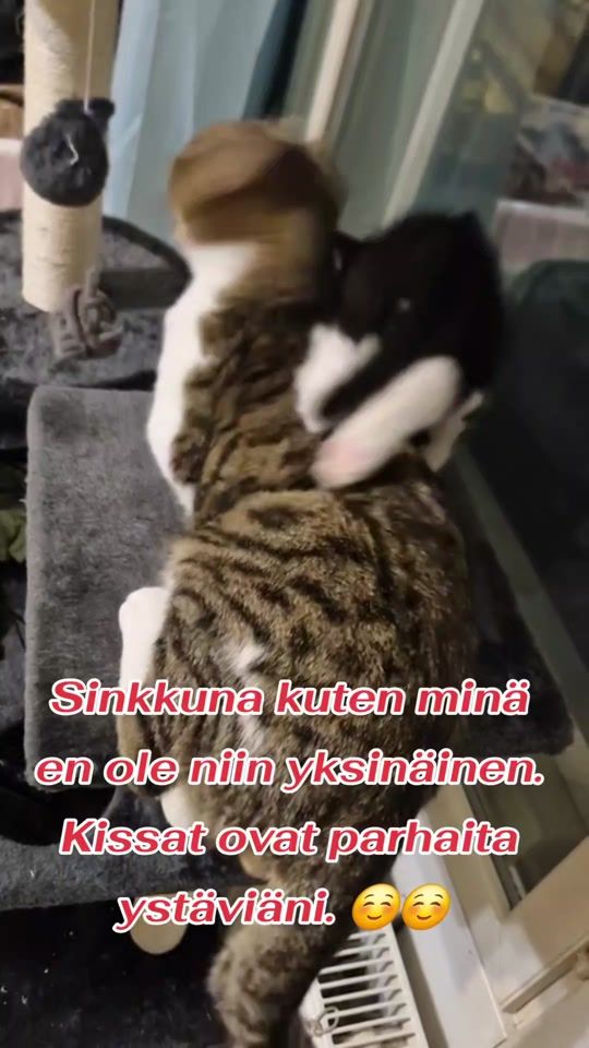 TikTok video thumbnail by mjemmi3
