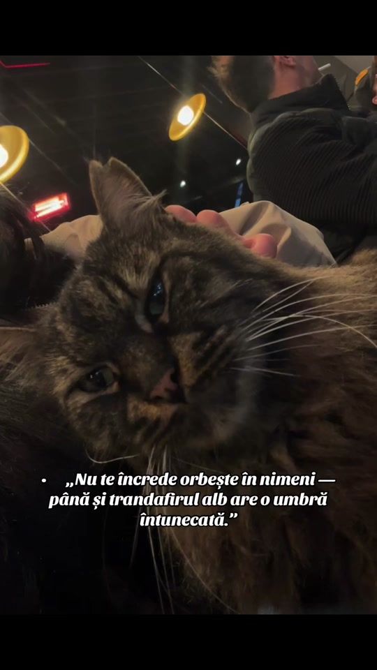 TikTok video thumbnail by ionelagaborrr