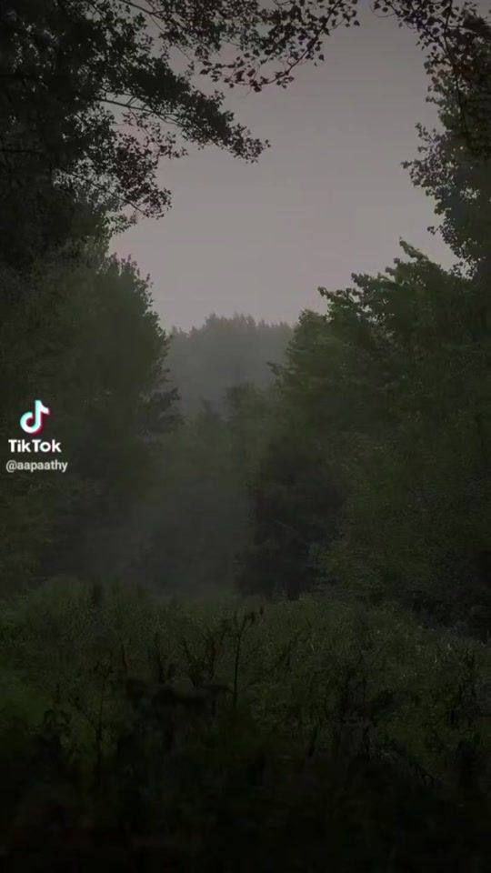 TikTok video thumbnail by unknown125566