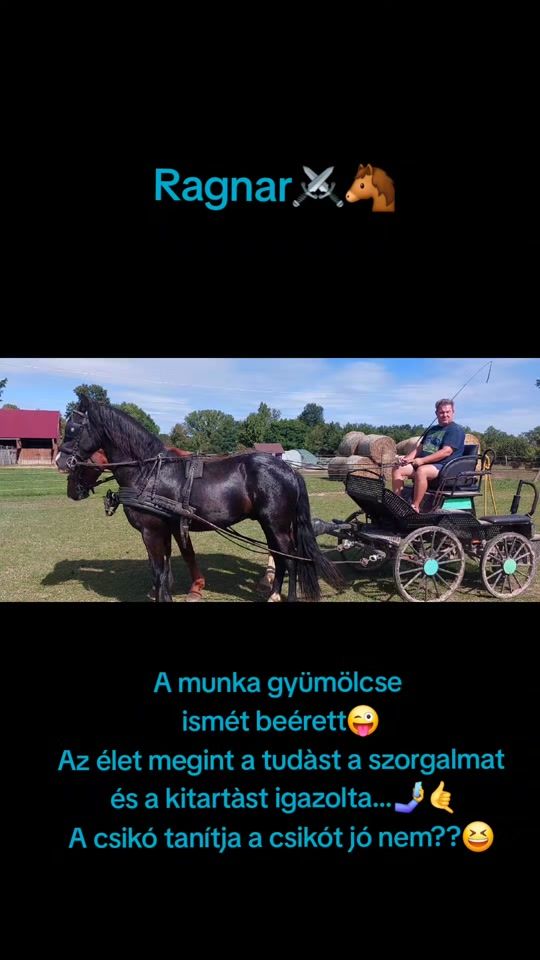 TikTok video thumbnail by rodesz92