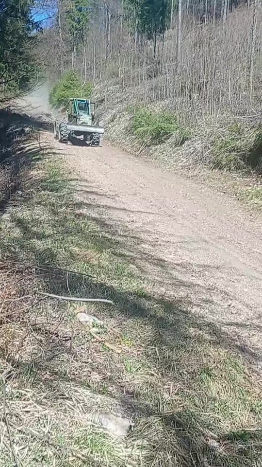 TikTok video thumbnail by jankoliptak