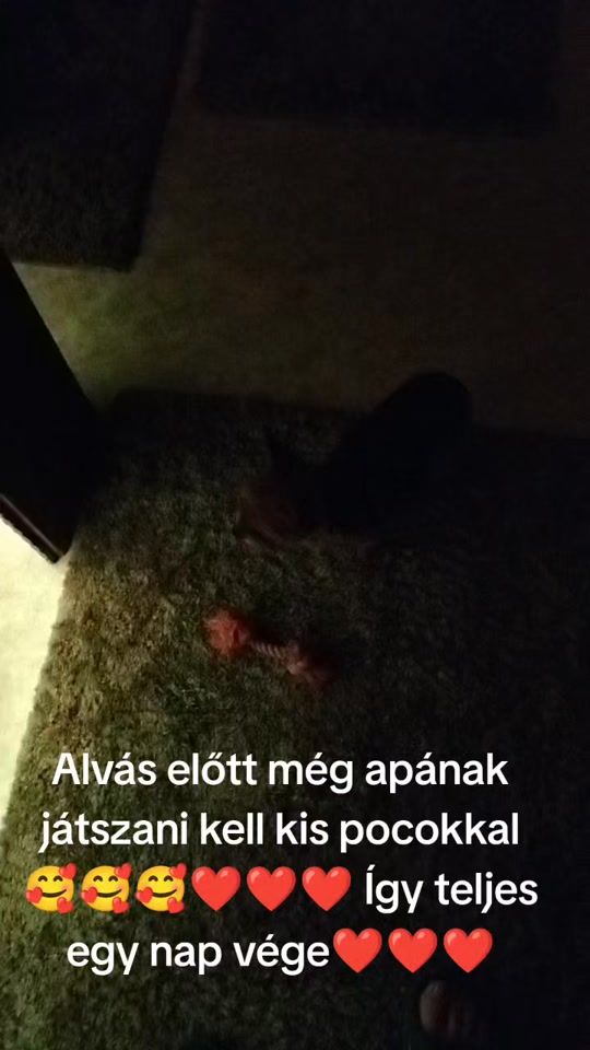 TikTok video thumbnail by lobo73ciprus