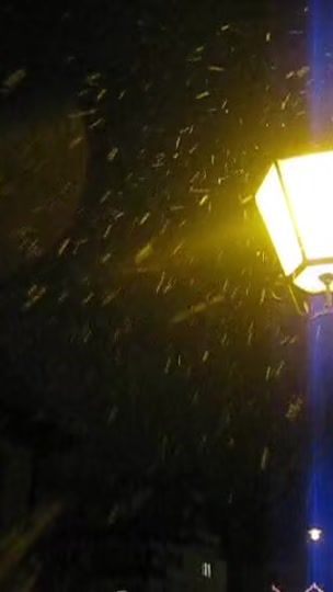 TikTok video thumbnail by iphvoi