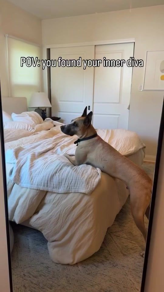 TikTok video thumbnail by wearefastfriends