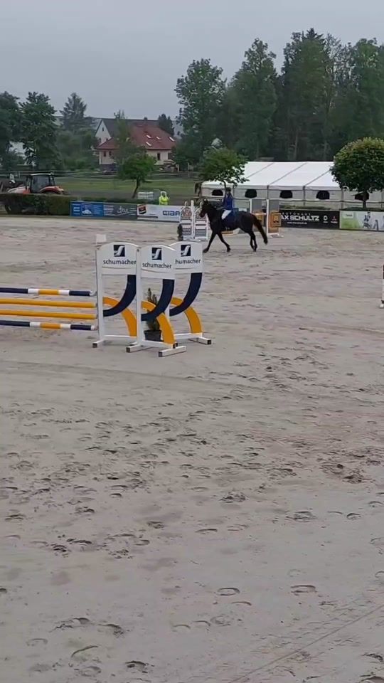 TikTok video thumbnail by scally.showjumping