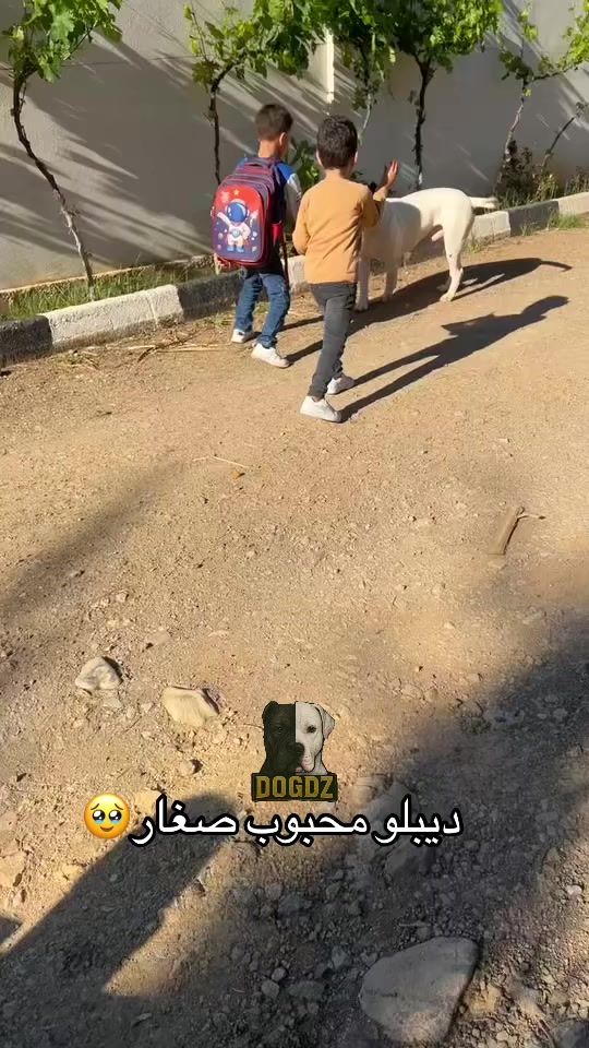 TikTok video thumbnail by dogdz1616