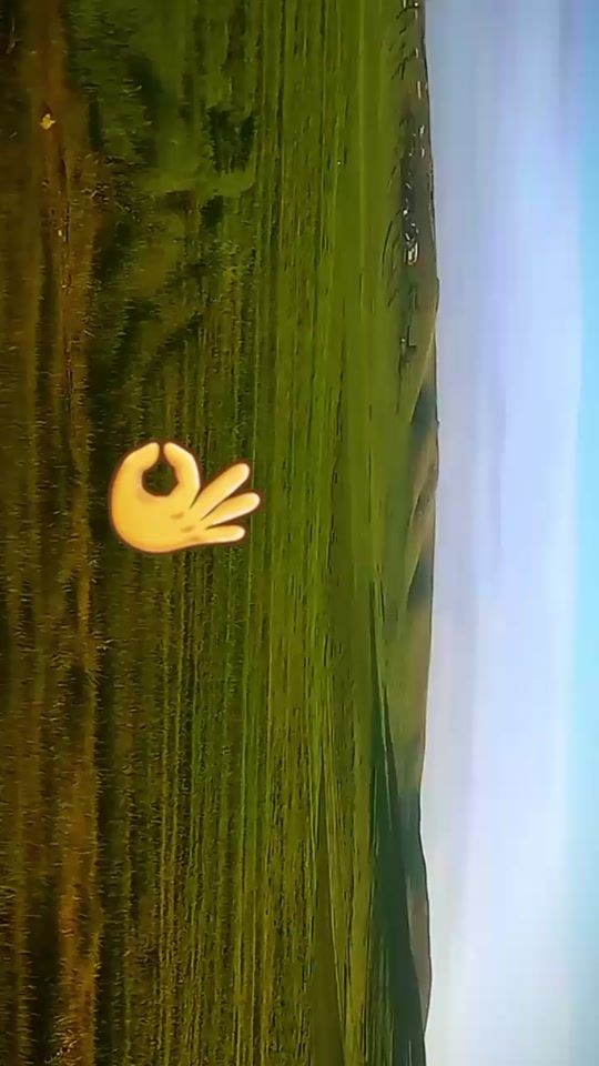 TikTok video thumbnail by talyeni39