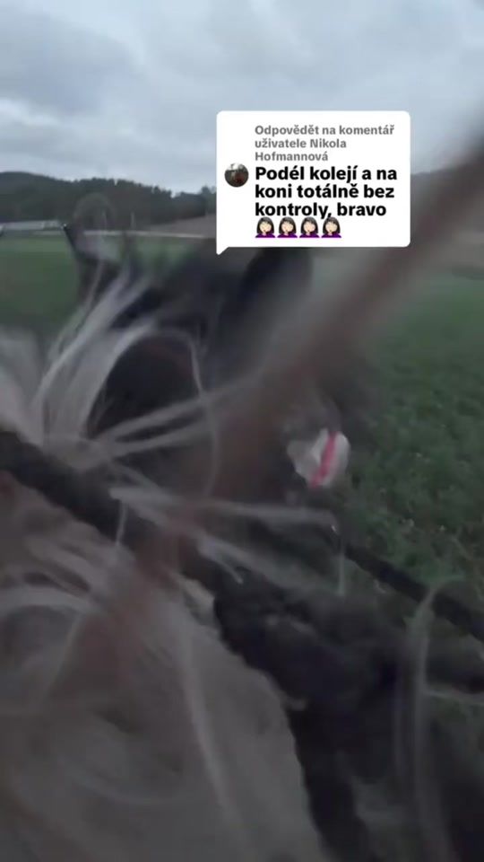 TikTok video thumbnail by ann.a.absolutic