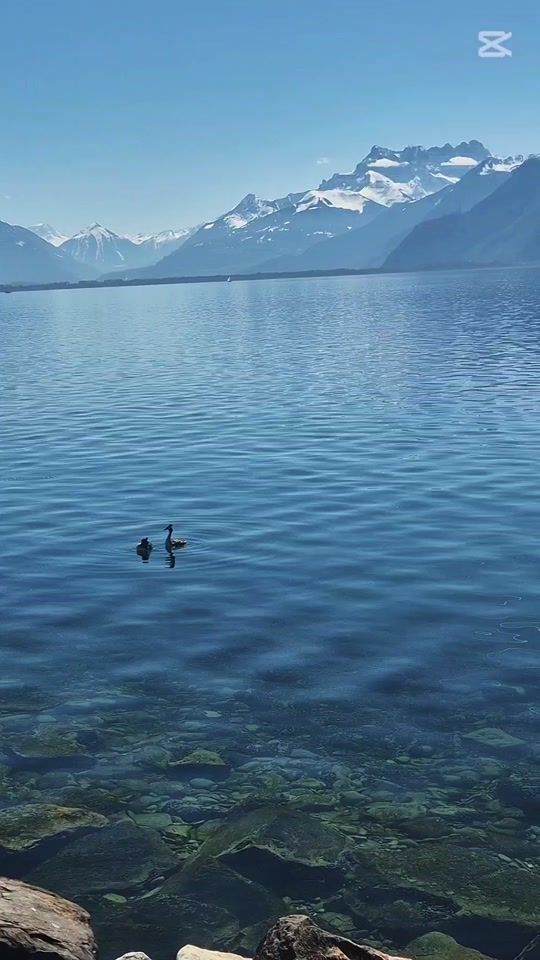 TikTok video thumbnail by tona1995ch