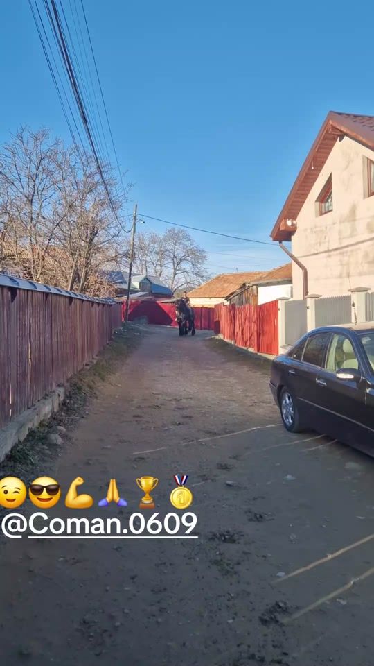 TikTok video thumbnail by anaxornamoc