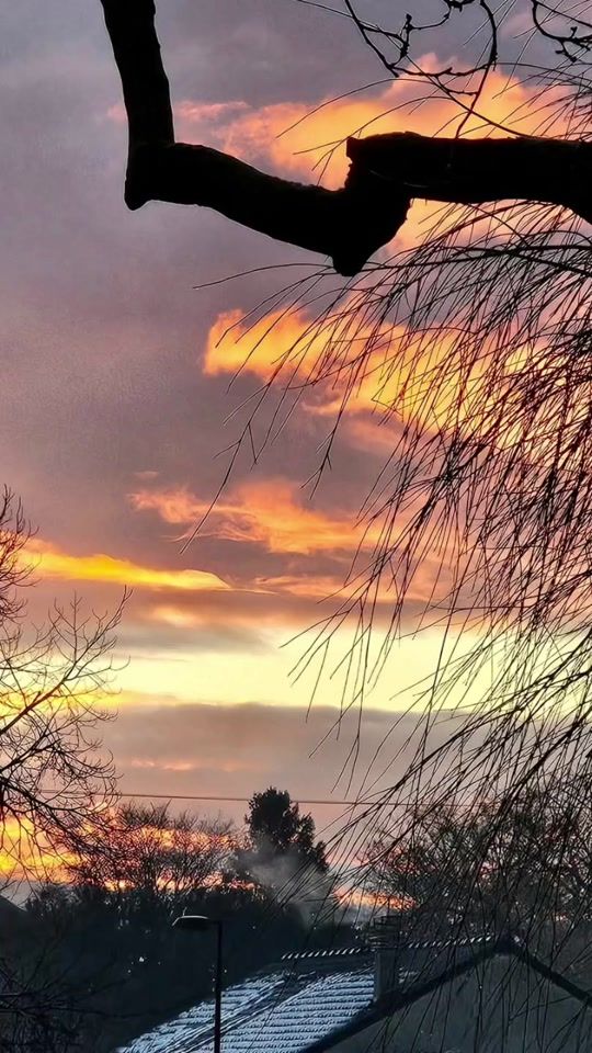 TikTok video thumbnail by laaaauuure