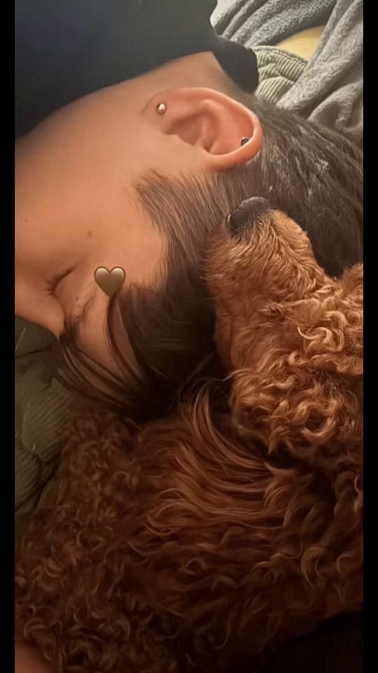 TikTok video thumbnail by emilijasfan1