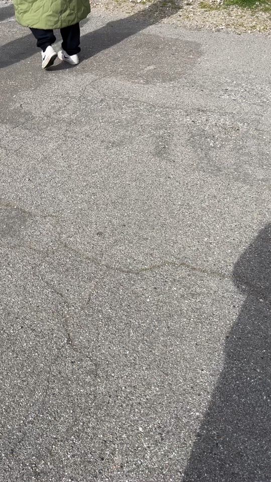 TikTok video thumbnail by asiatorvet