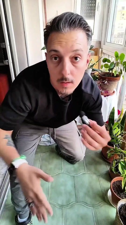 TikTok video thumbnail by sdesiensia