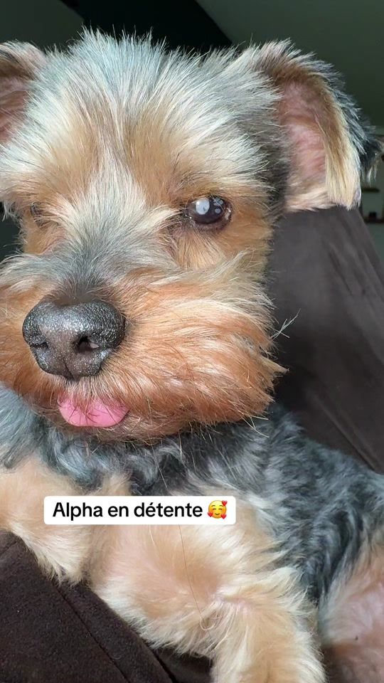 TikTok video thumbnail by mariiiia_bbw1