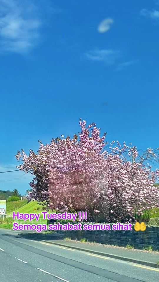 TikTok video thumbnail by nissazan16