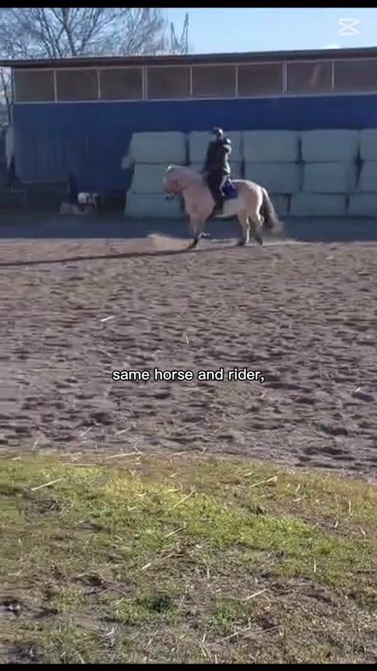 TikTok video thumbnail by freja_og_ronja