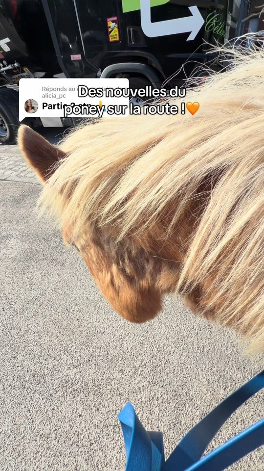 TikTok video thumbnail by nnp.fr