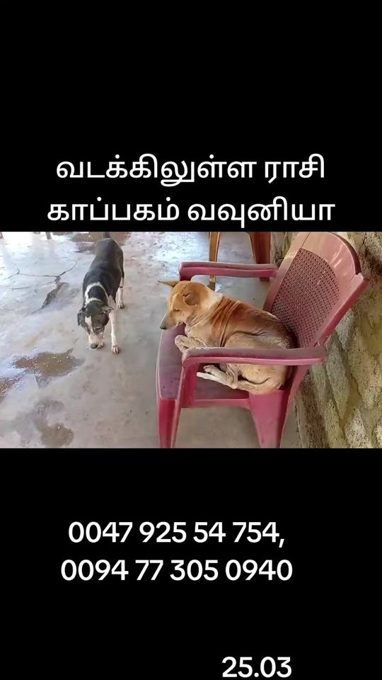 TikTok video thumbnail by raseetextile