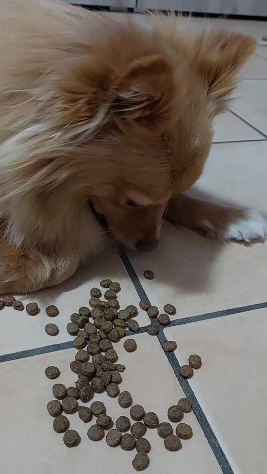 TikTok video thumbnail by sofiarosariabelle