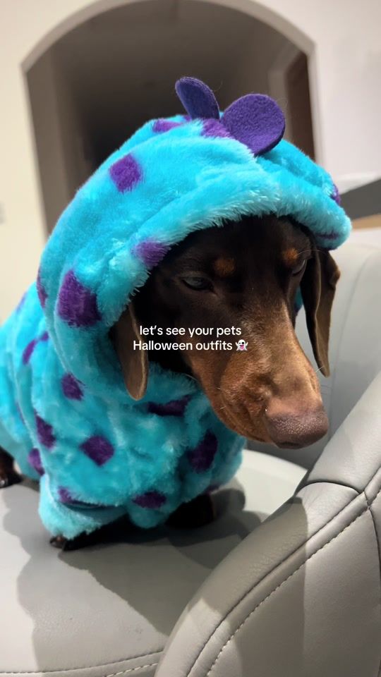 TikTok video thumbnail by mollybeaver_